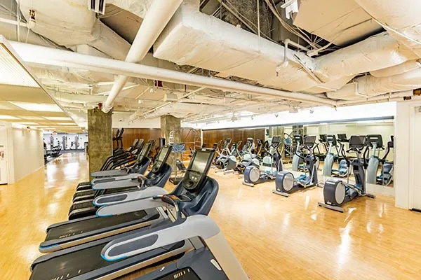 Several treadmills and other cardio machines lined up on hardwood floor