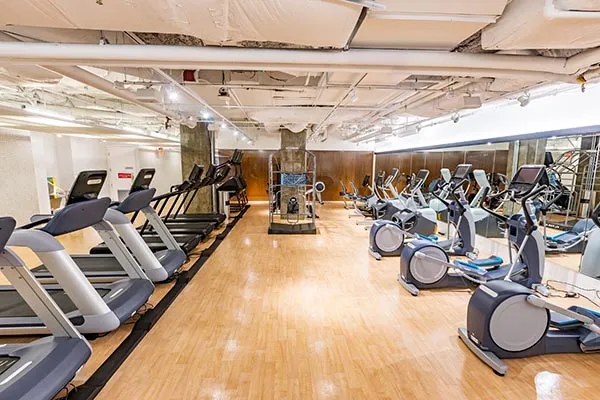 Several treadmills and other cardio machines lined up on hardwood floor